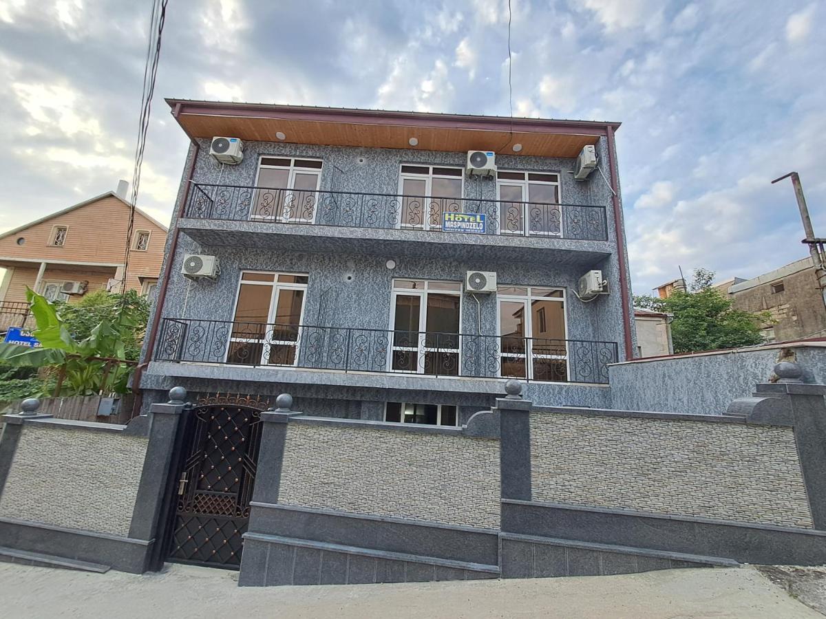 Hotel Maspindzelo Kutaisi Bagian luar foto